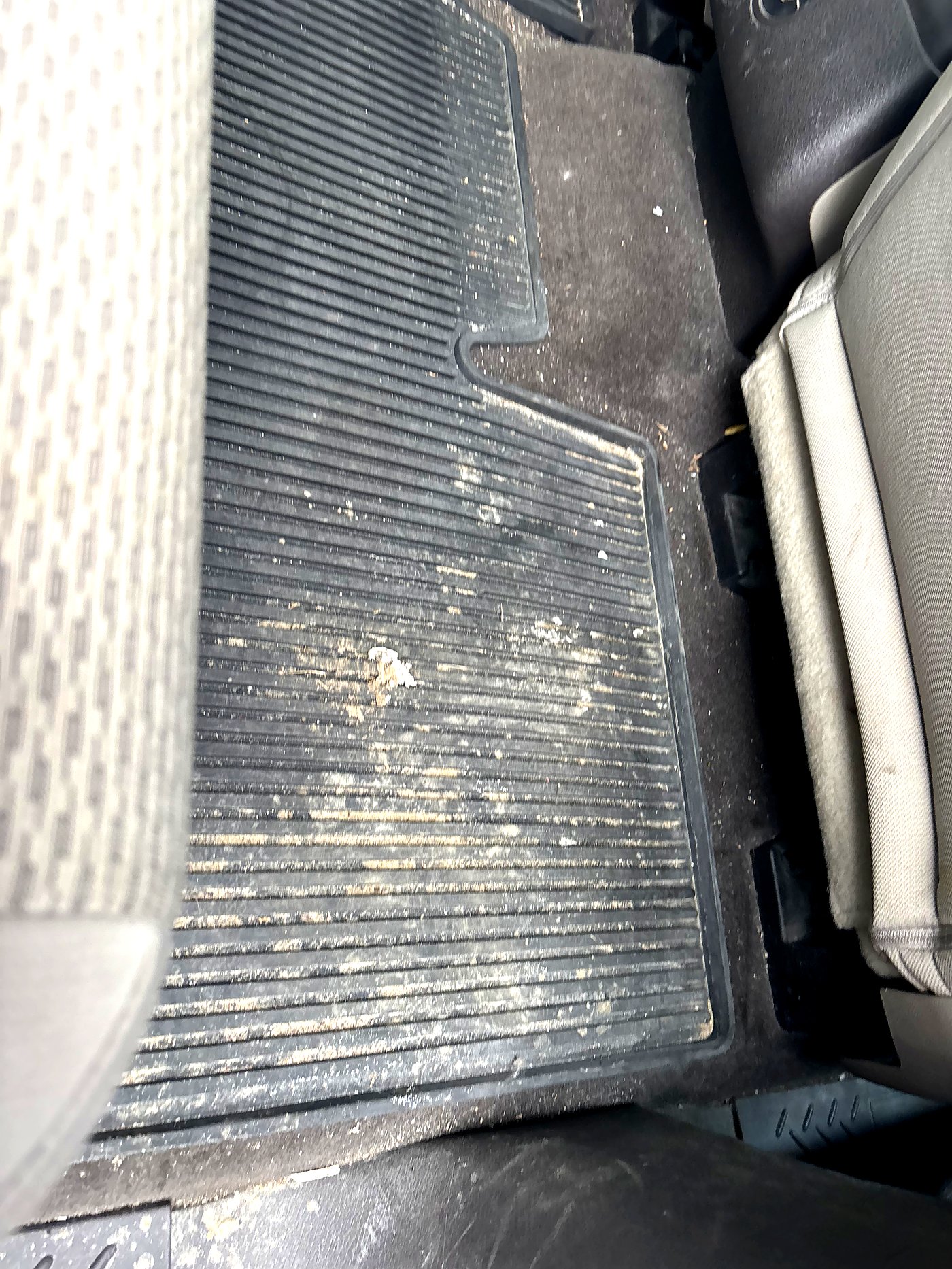 Before truck rear interior detailing North Bay — dirty floor mats
